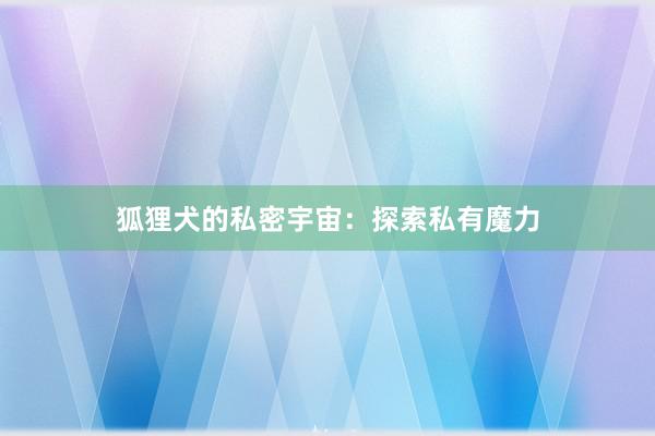 狐狸犬的私密宇宙:探索私有魔力