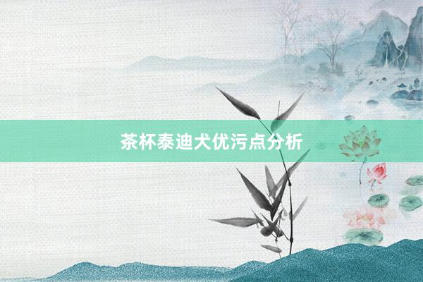 茶杯泰迪犬优污点分析
